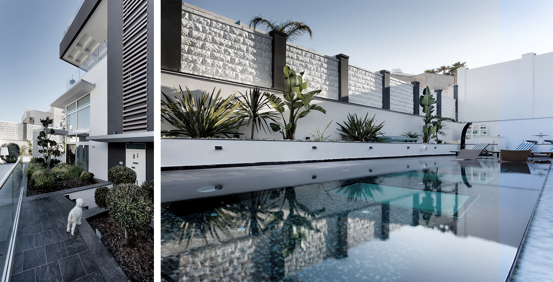 Modern white villa with pool and landscaped terrace in Malta