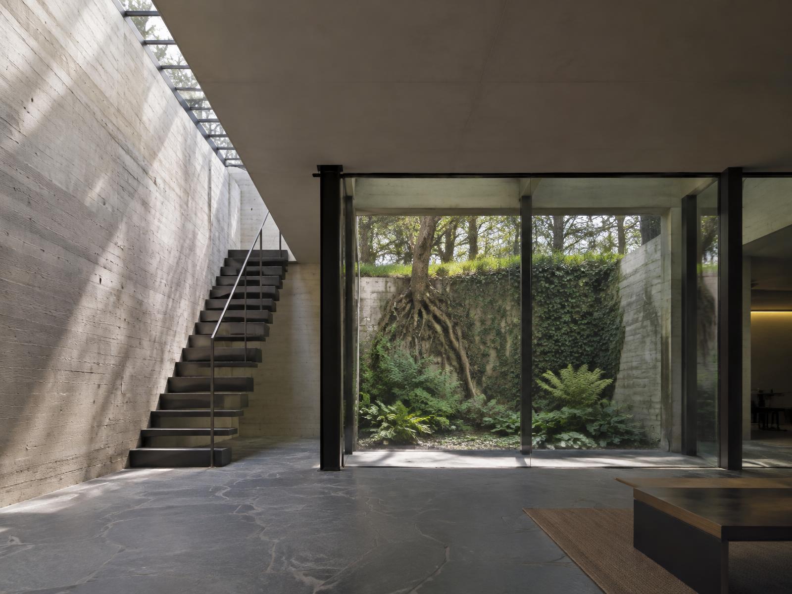 New basement with board-marked concrete, a rooflight and a sunken planted garden